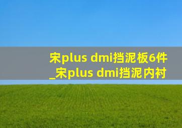 宋plus dmi挡泥板6件_宋plus dmi挡泥内衬